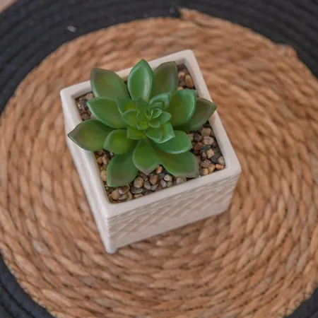 Castle Sunset View דירה פארוס